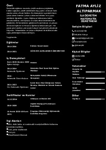 Matematik Öğretmeni Cv Örnekleri cv indir